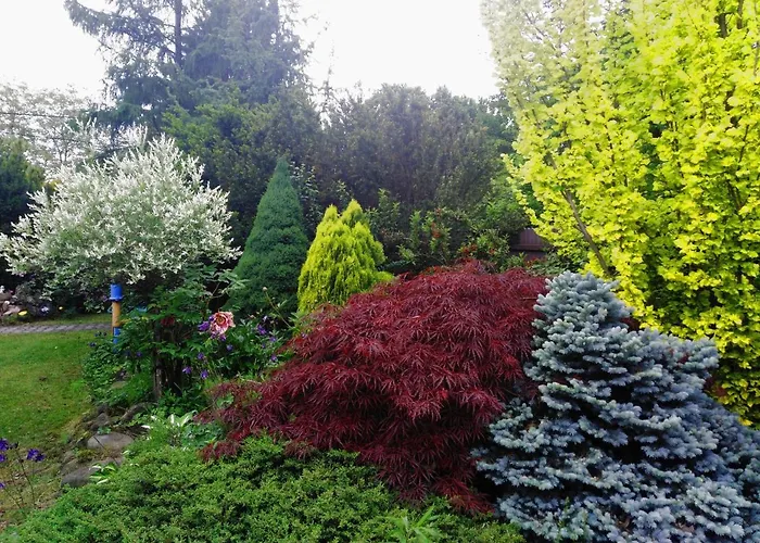 Chalupa Ostravice Ostravice